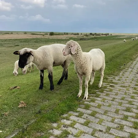 Heimathafen בית נופש *